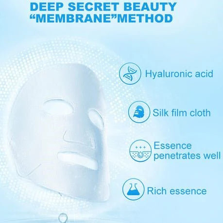 Aichun Beauty Ice Face Mask